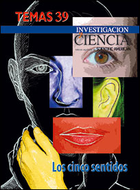2005 Los Cinco Sentidos
